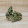 Fleur de CBD Runtz Muffin Indoor Hydro