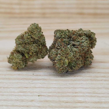Fleur de CBD Critical +2.0 Hydro