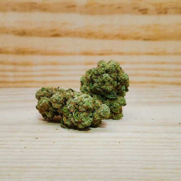 Fleur CBD Amnesia Haze Indoor Hydro