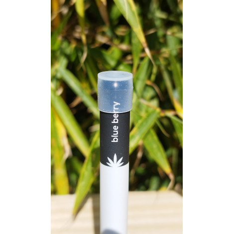 Pen CBD 8% Doypack Blueberry - SeedWell®